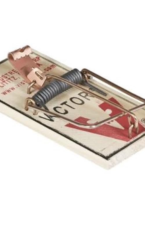 Rat Trap