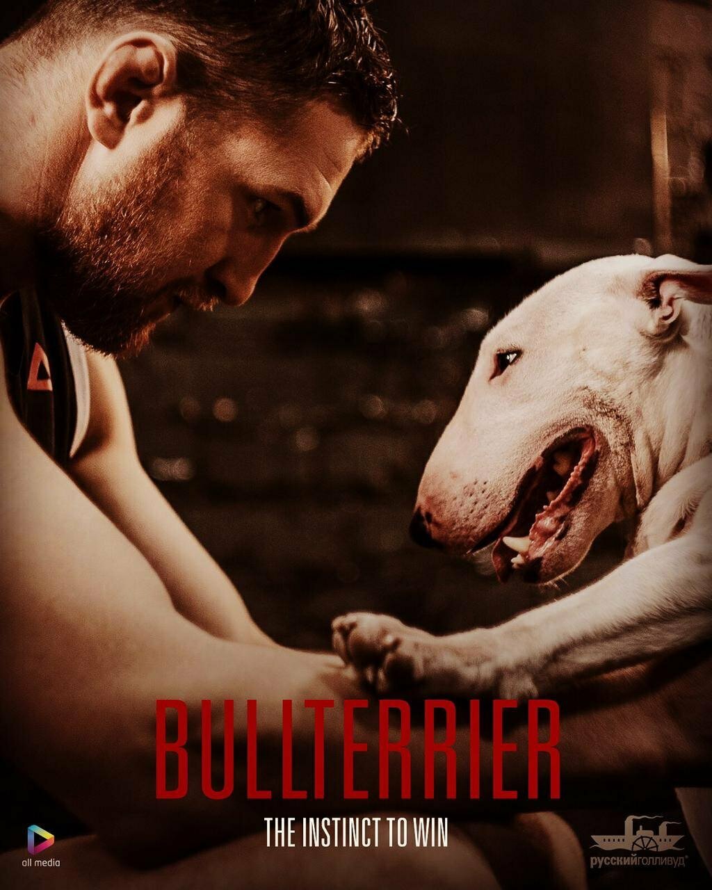 Бультерьер