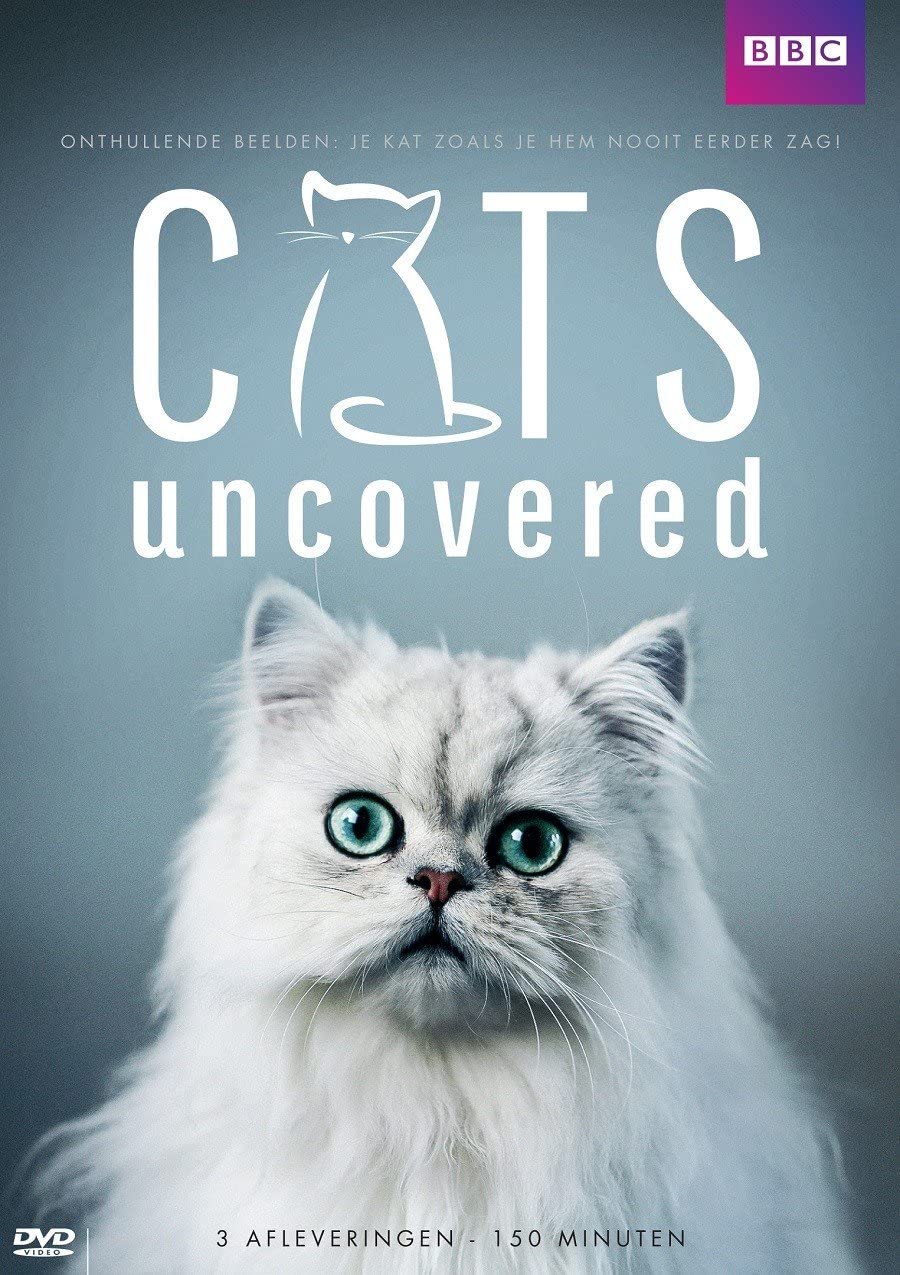 Cat Watch 2014: The New Horizon Experiment