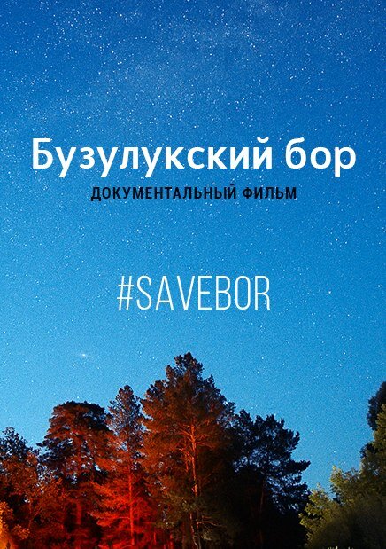 Бузулукский бор