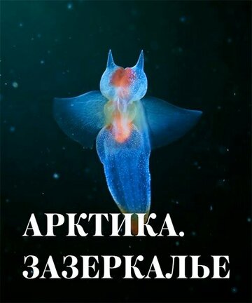 Арктика. Зазеркалье