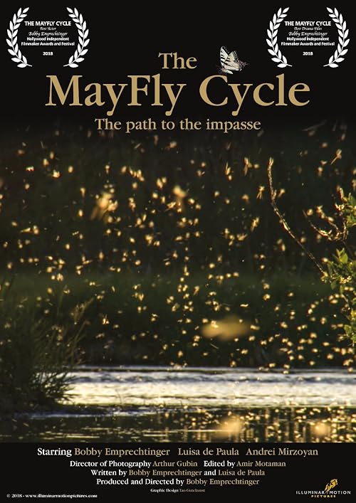 The Mayfly Cycle