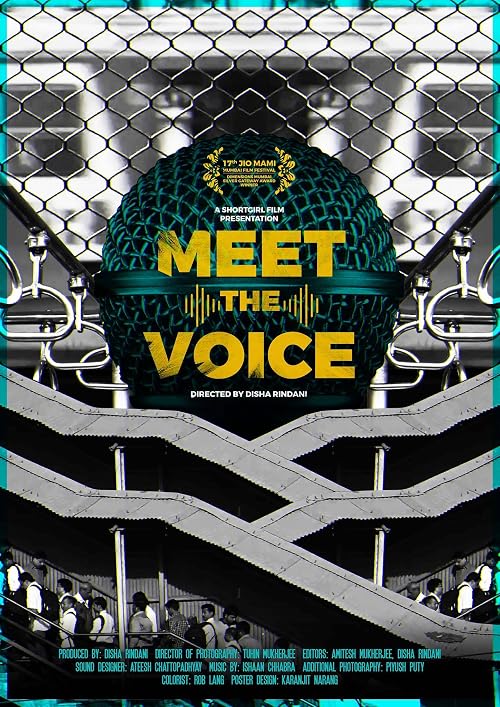 Meet the Voice