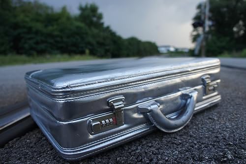 The Silver Briefcase