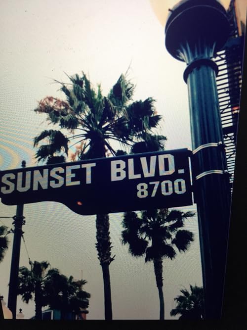 Boulevard Misfits