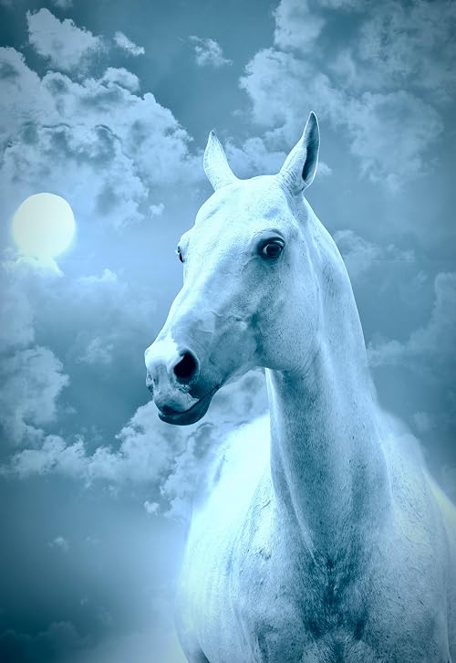 Moonchaser