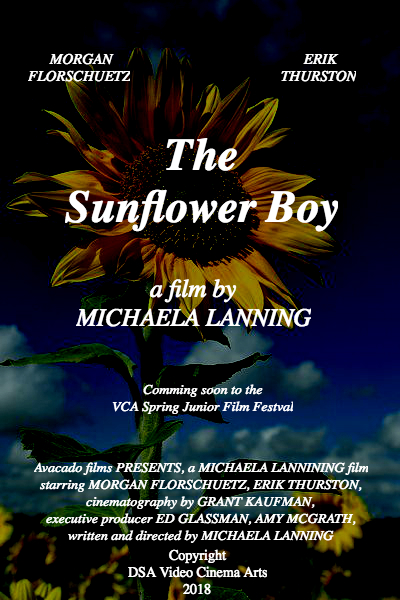 The Sunflower Boy
