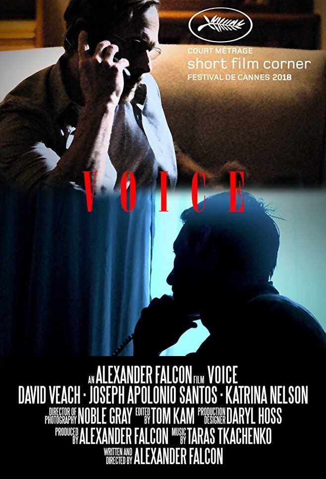 Voice