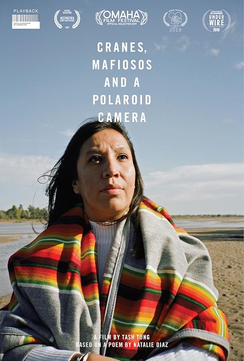 Cranes, Mafiosos and a Polaroid Camera