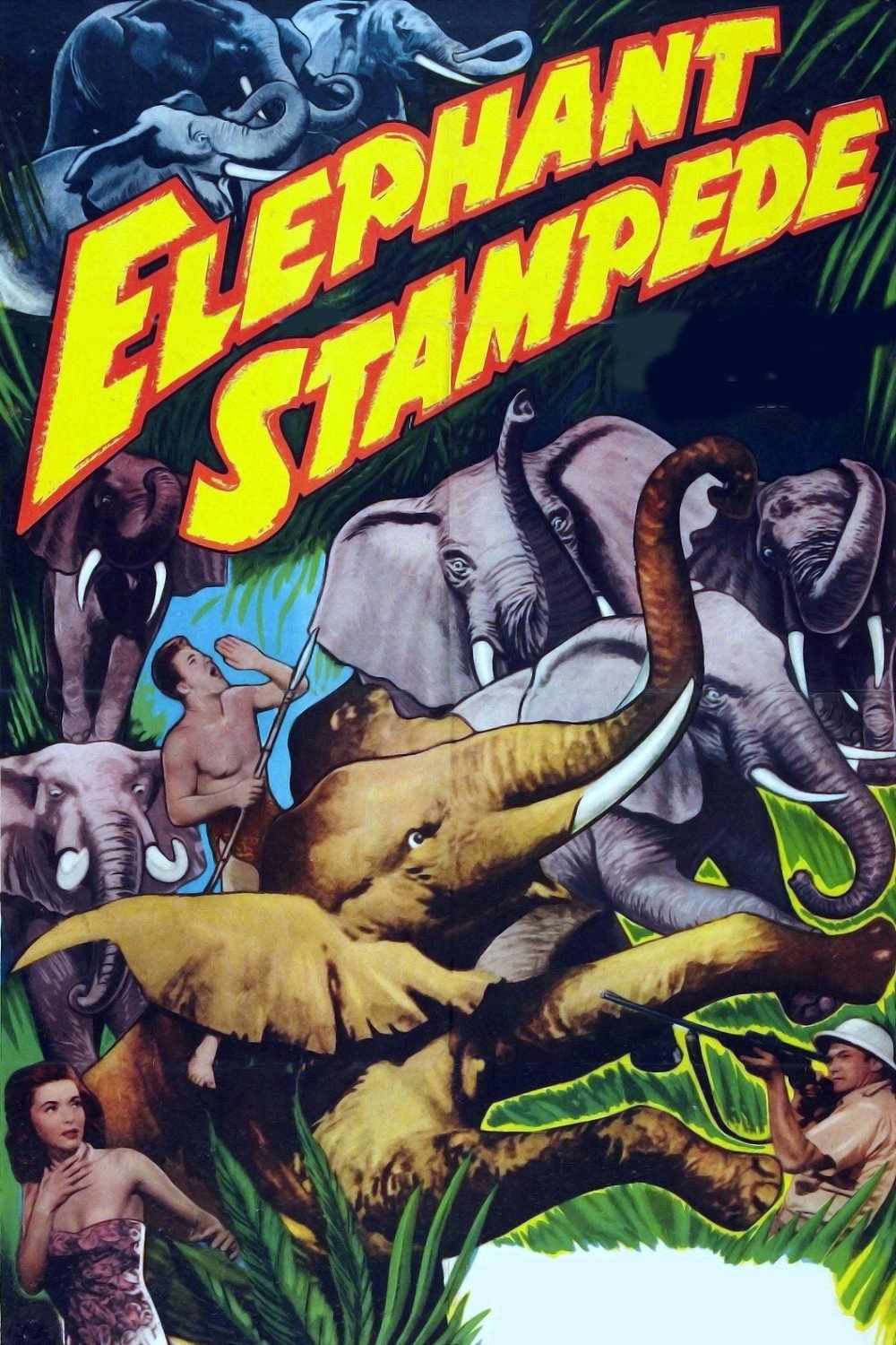 Bomba, Herr der Elefanten