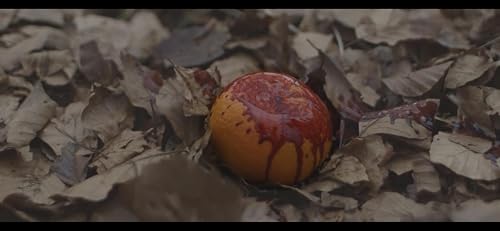 Satsuma