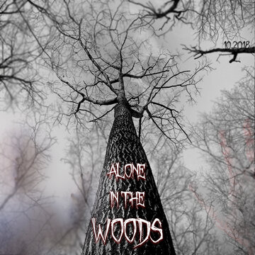 Alone in the Woods