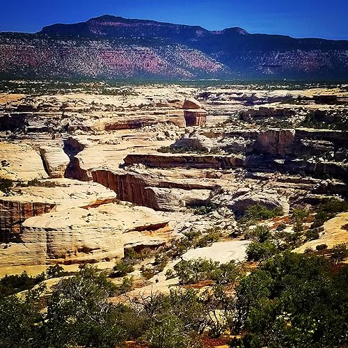 Natural Bridges National Monument Documentary