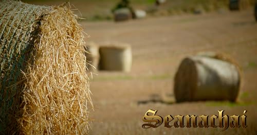 Seanchaí