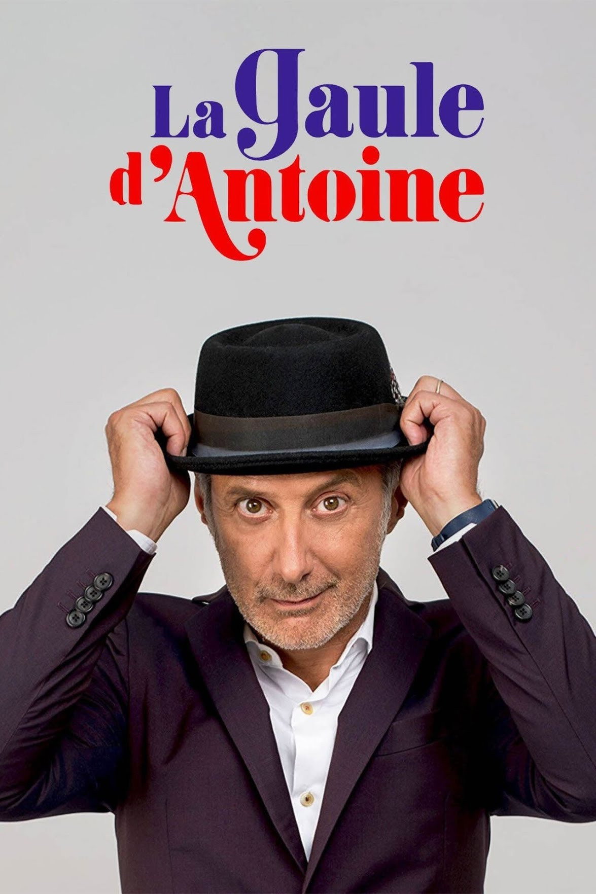 La Gaule d'Antoine