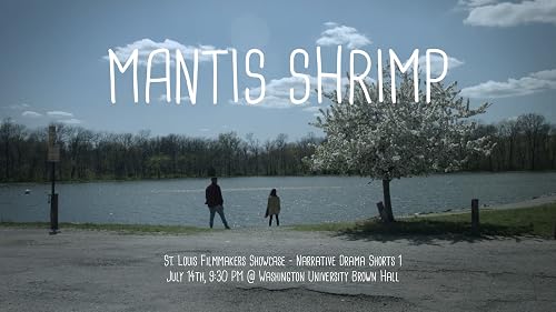 Mantis Shrimp