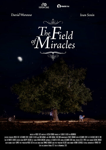 The Field Of Miracles