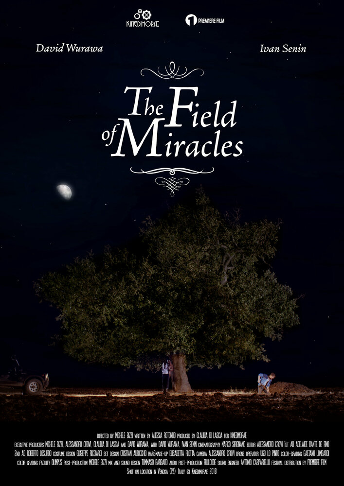 The Field Of Miracles
