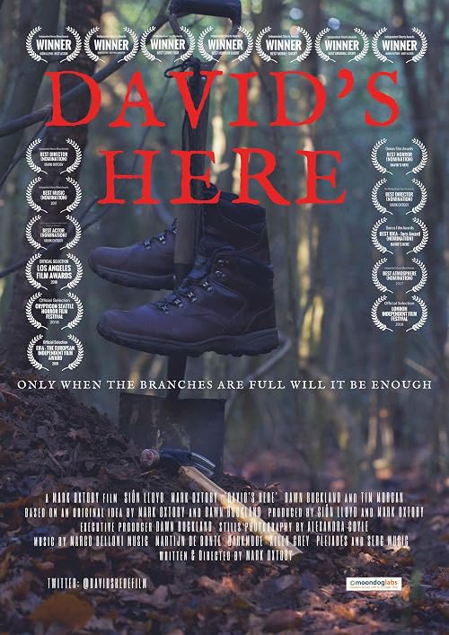 David's Here