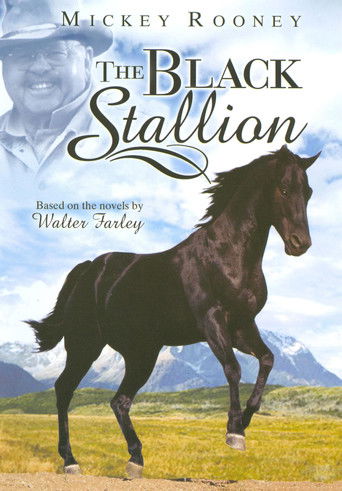The Adventures of Black Stallion