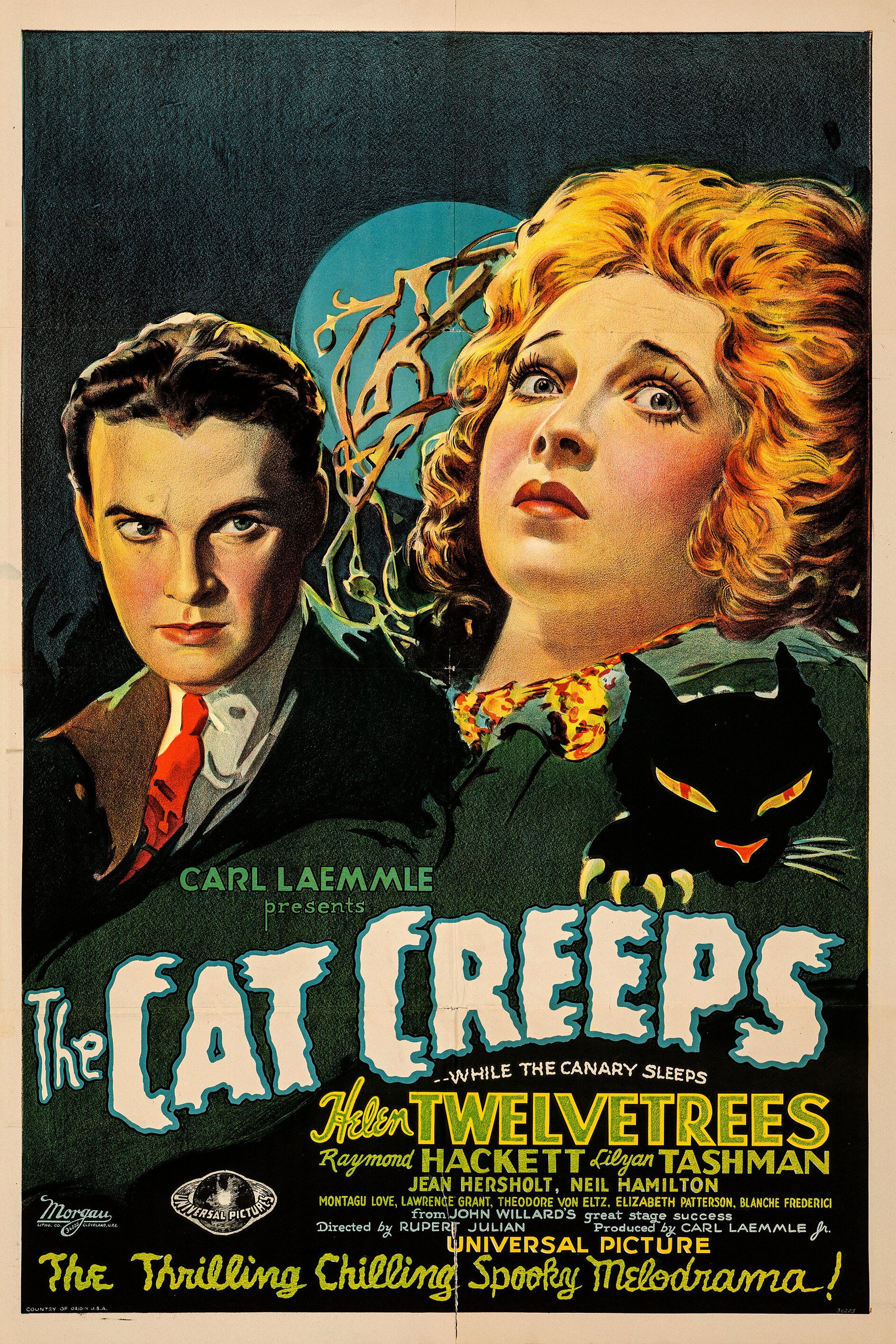 The Cat Creeps