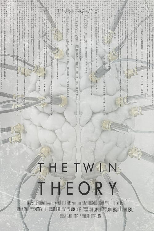 The Twin Theory