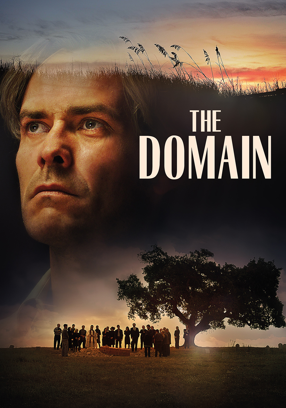 The Domain