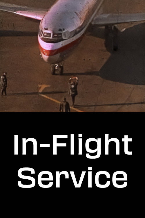 In Flight Service