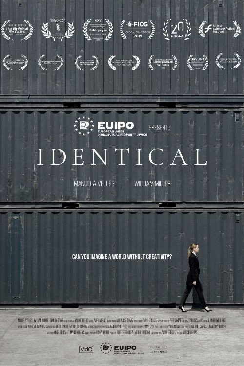 IPdentical