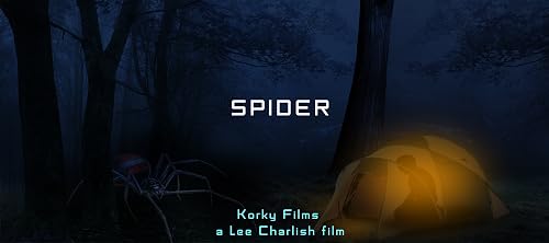 Spider