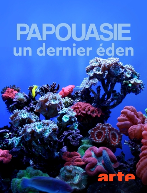 Papouasie, un dernier éden
