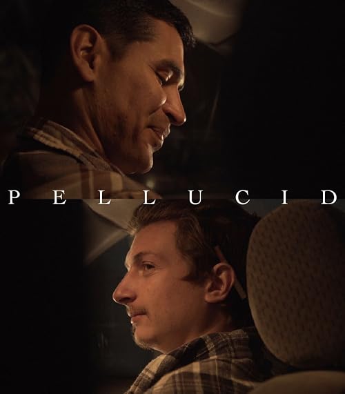 Pellucid