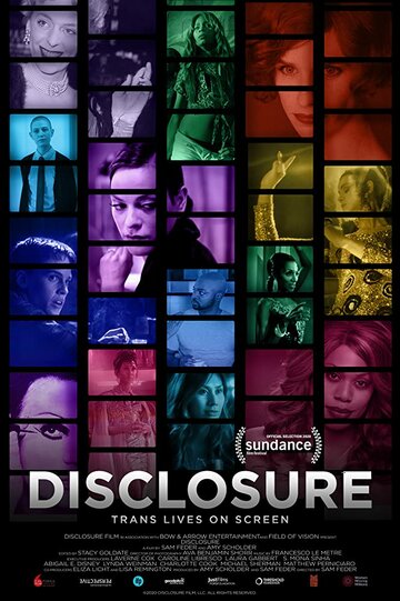 Disclosure - Hollywoods Bild von Transgender