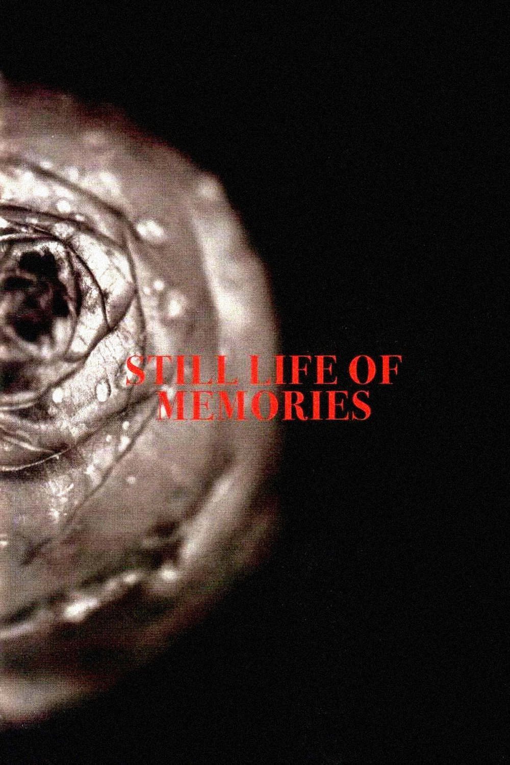 Still Life of Memories