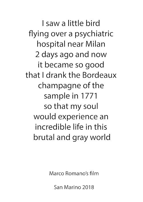 I Saw a Little Bird Flying Over a Psychiatric Hospital Near Milan 2 Days Ago and Now it Became So Good that I Drank the Bordeaux Champagne of the Sample in 1771 So That My Soul Would Experience an Incredible Life in This Brutal and Gray World