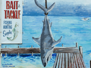 Bait & Tackle
