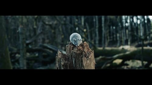 ALT-J - In Cold Blood
