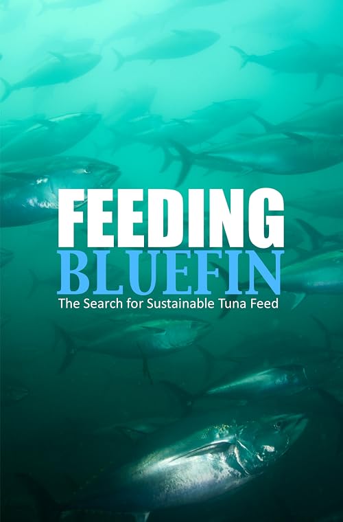 Feeding Bluefin