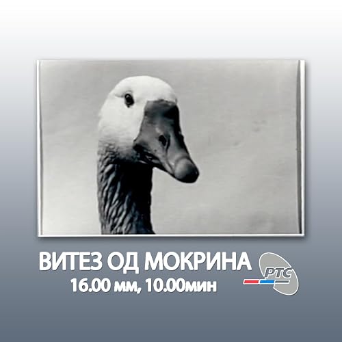 Vitez od Mokrina