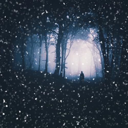 A Ghost in the Snow Storm