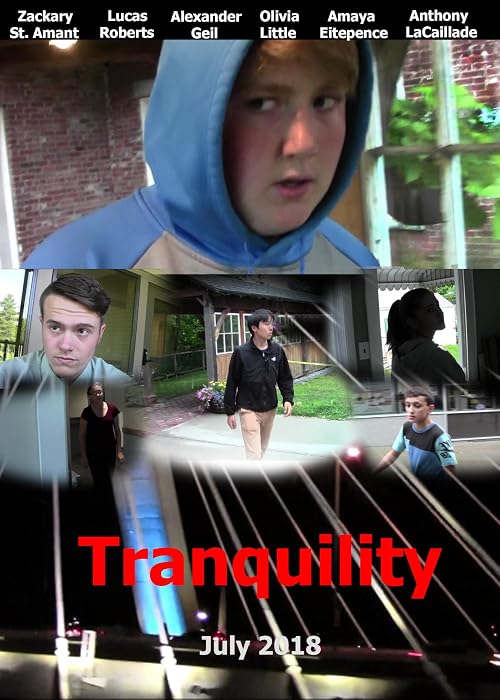 Tranquility - An Independent Espionage/Crime Film