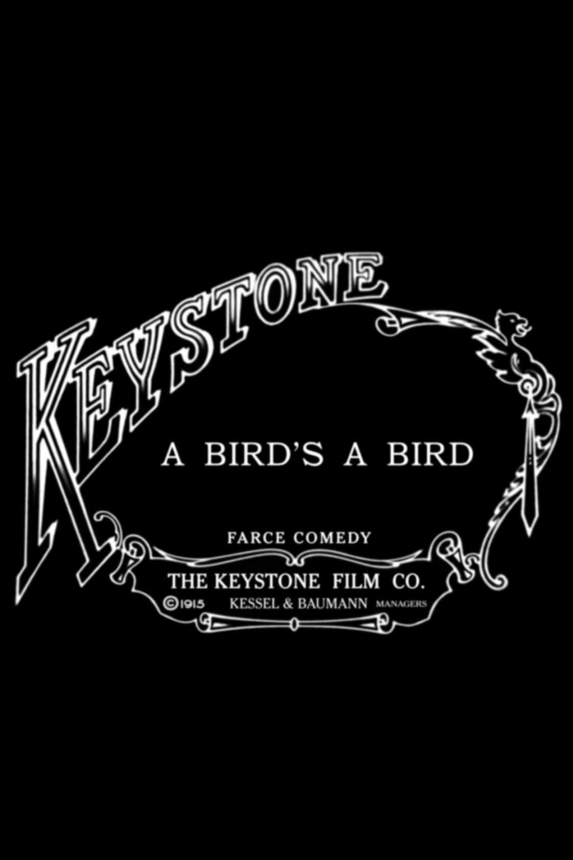 A Bird's a Bird