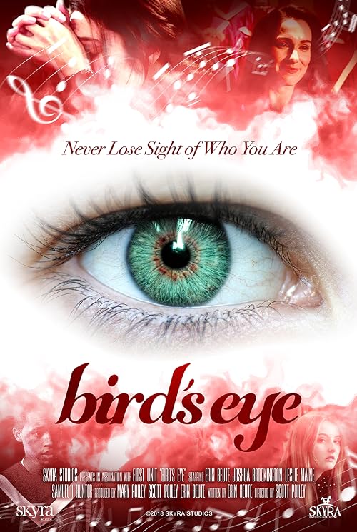 Bird's Eye