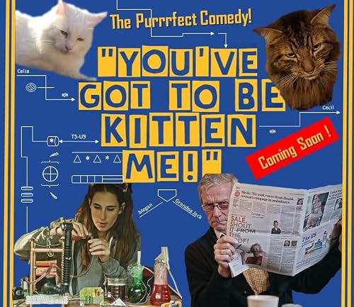 You've Got to Be Kitten Me!