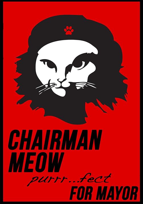 Chairman Meow
