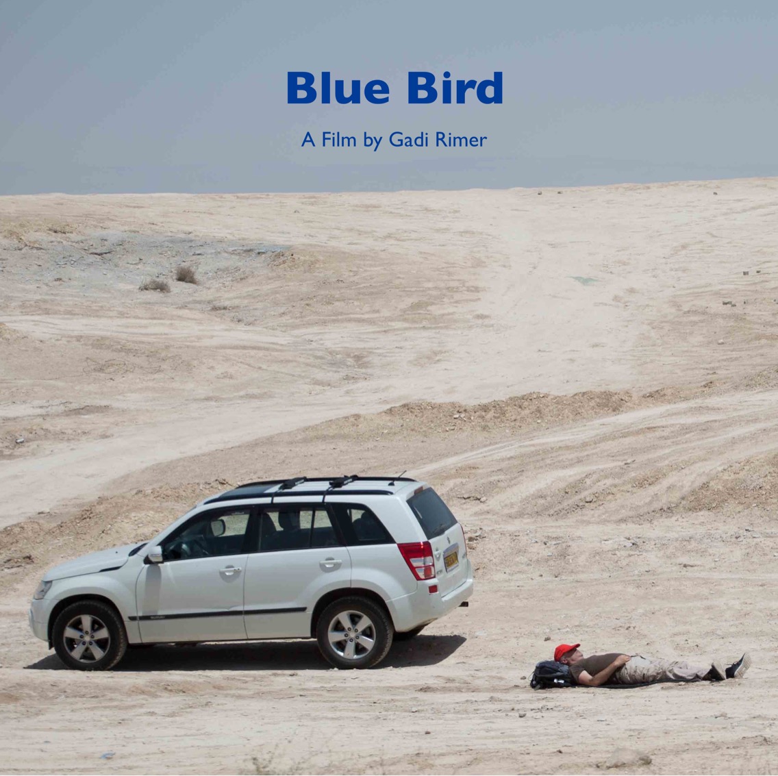 Blue Bird