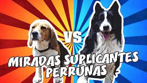 Las aventuras de Scaliboy y Bravocán