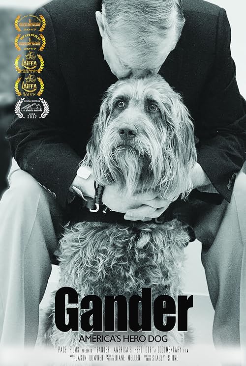 Gander: America's Hero Dog