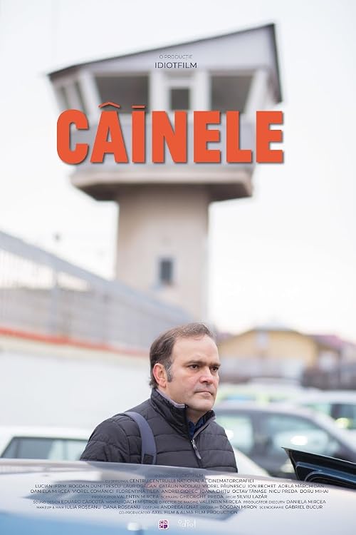 Cainele