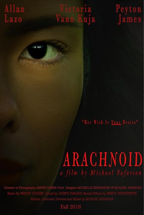 Arachnoid